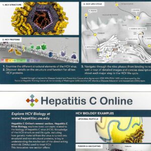 Hepatitis C Online Card